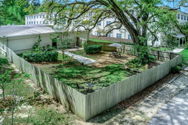 11_DJI_0079_HDR_3_
